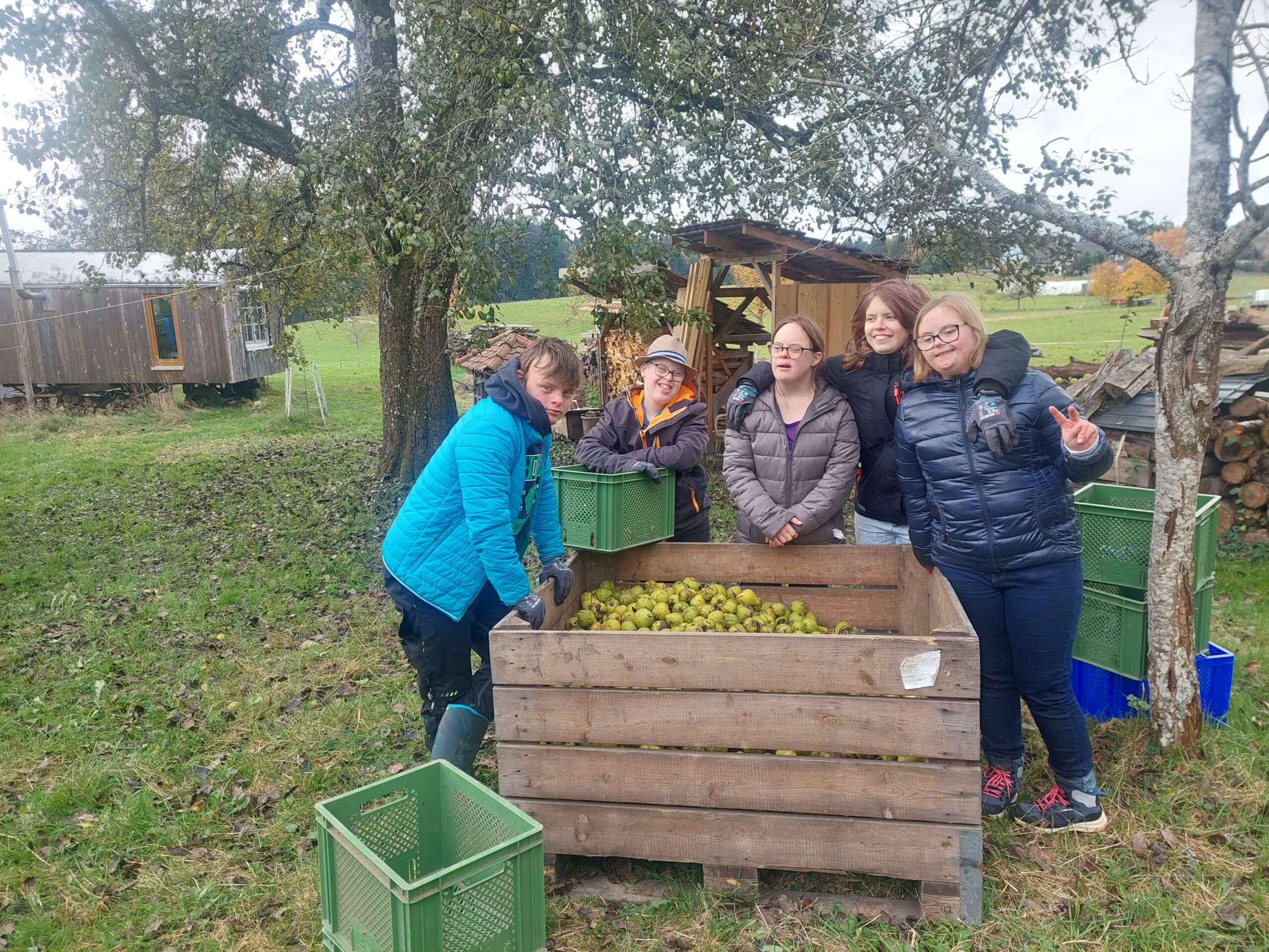 Apfel- und Birnenernte auf dem Hofbauernhof Schömberg